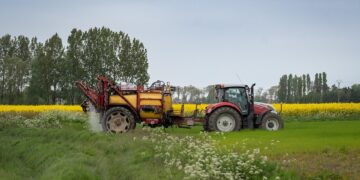 Harvesting Hope: Building Resilient and Sustainable Food Systems for the Future