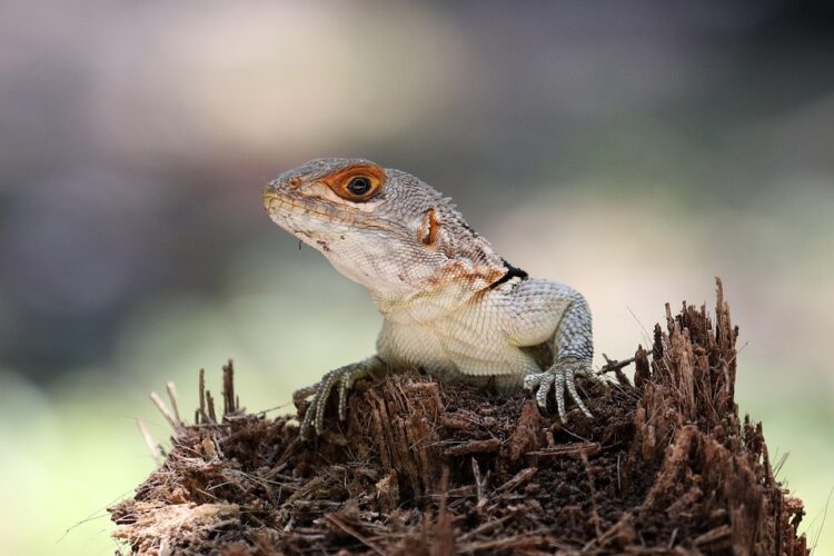 Preserving Our Planet: The Urgency of Water Conservation