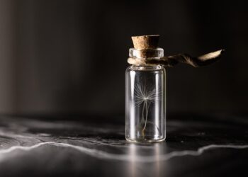 Preserving Our Planet: The Power of Sustainable Conservation Practices