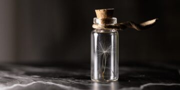 Preserving Our Planet: The Power of Sustainable Conservation Practices