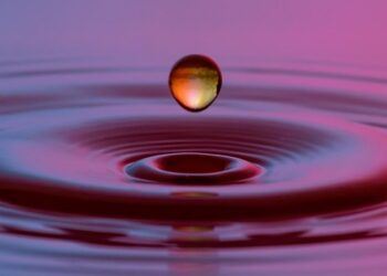 Powering the Future: Embracing Sustainable Energy Solutions