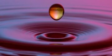 Powering the Future: Embracing Sustainable Energy Solutions