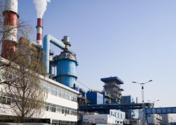 10 Easy Ways to Conserve and Protect our Planet: Simple Tips for a Sustainable Future