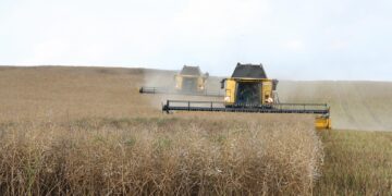 Harvesting the Future: The Power of Sustainable Farming Practices