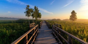 Saving Our Seas: The Urgent Need for Marine Conservation