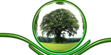 Preserving Our Planet: Innovative Conservation Strategies for a Sustainable Future