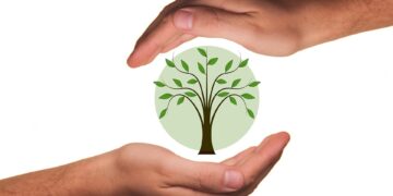 Guardians of the Earth: The Urgent Call for Ecosystem Preservation