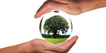 Preserving Our Planet: The Urgency of Environmental Conservation