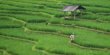 Growing a Greener Tomorrow: The Future of Sustainable Agriculture