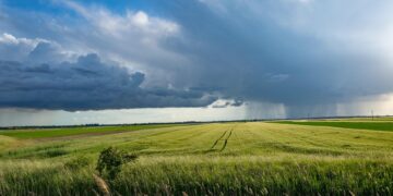 Harvesting Sustainability: The Future of Green Farming Practices