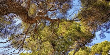 Empowering Earth: Sustainable Agriculture Practices for a Greener Future