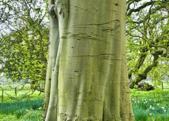 Empowering Change: The Key to Sustainable Energy Conservation