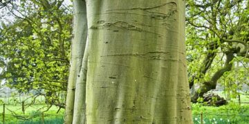 Empowering Change: The Key to Sustainable Energy Conservation