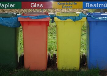 Revolutionizing Recycling: Innovative Solutions for a Greener Future